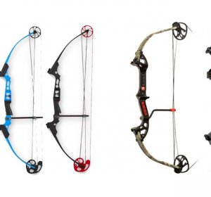 Bow hunting Information