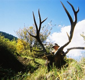 Colorado archery Elk hunting Outfitters