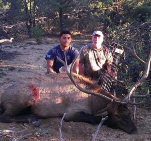 Colorado archery Elk hunts