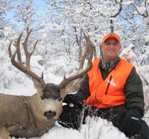 Colorado big game draw