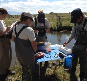 Colorado Department of Wildlife Fishing