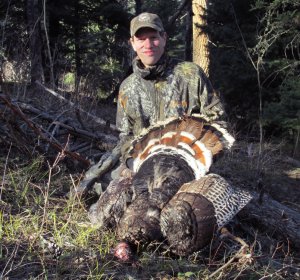 Colorado DNR Elk hunting