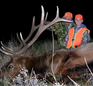 Colorado Elk draw