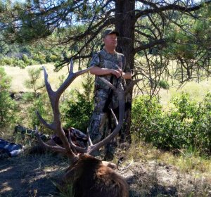 Colorado elk hunting license