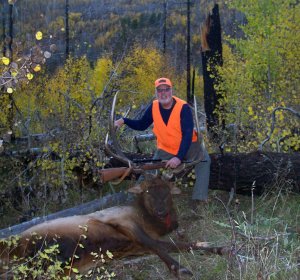 Colorado Elk hunting Outfitters Drop camps