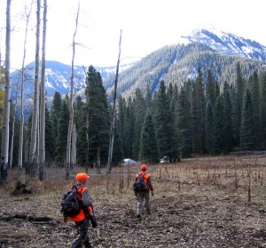 Colorado Elk hunting units