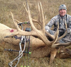 Colorado Elk population