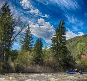 Colorado fishing license Price