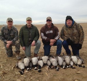 Colorado goose hunting Guides