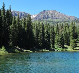 Colorado hunting and Fishing