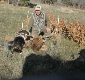 Colorado hunting license fees