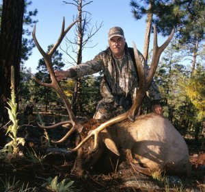 Colorado hunting license non Resident