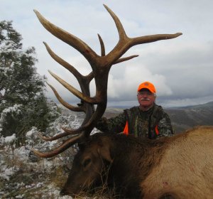 Colorado hunting licenses