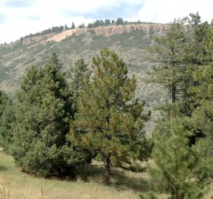 Colorado hunting Ranches