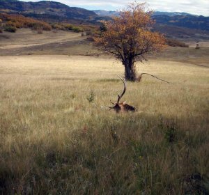 Colorado hunting season Dates