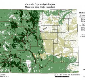 Colorado Mountain lion hunting season