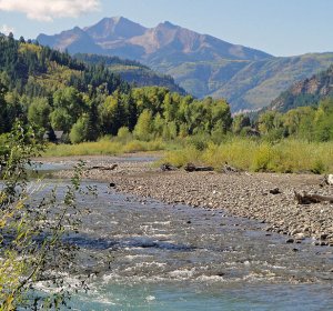 Colorado Mule Deer Hunting license