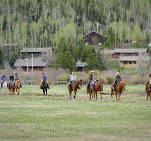 Colorado Mule Deer Hunting Outfitters