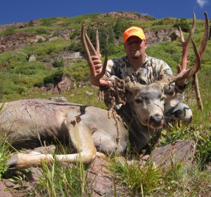 Colorado Mule Deer tags