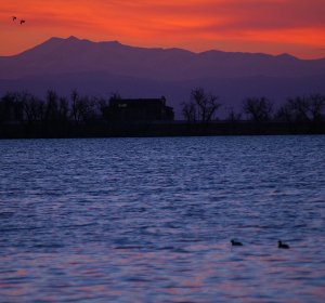 Colorado pheasant hunting season