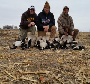 Colorado waterfowl season