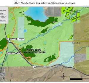 Colorado Wildlife Management