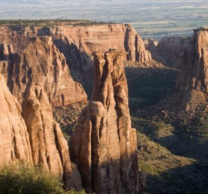 Colorados