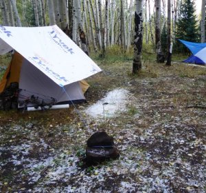 Elk hunting Colorado public land