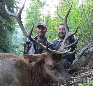 Elk hunting Colorado tips