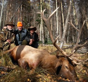 Elk hunting license in Colorado