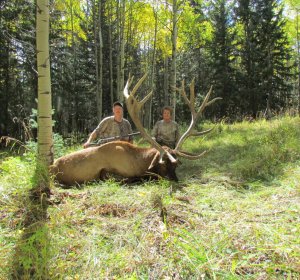 Elk hunting Ranch in Colorado