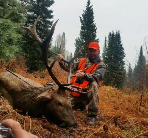 Elk hunting rifle Colorado