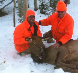 Elk hunts in Colorado