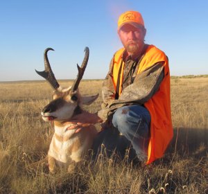 Elk tags in Colorado