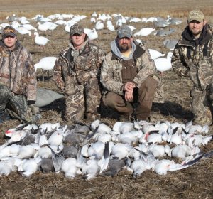 Goose season Colorado