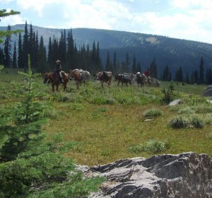Guided Elk Hunting Trips