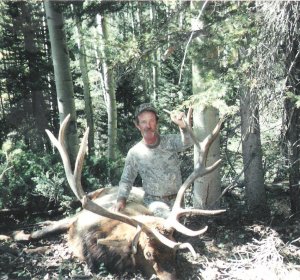 Guided Elk hunts in Colorado