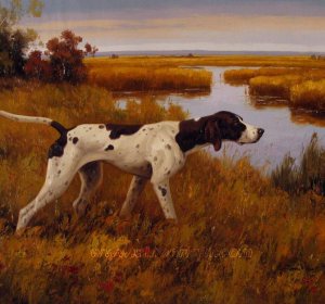 Hunting Dog training Colorado