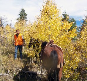 Hunting Outfitters in Colorado