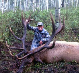 Hunting tags in Colorado