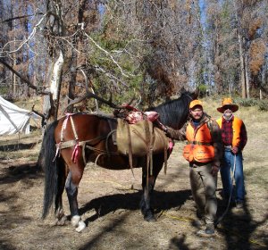 Mule Deer Hunting Trips
