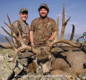 Mule Deer trophy