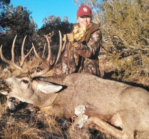 New Mexico Elk hunts for sale