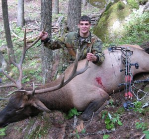 Public land Elk hunting in Colorado