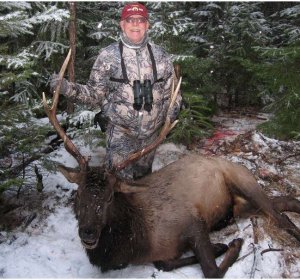 Rocky Mountain Elk hunting