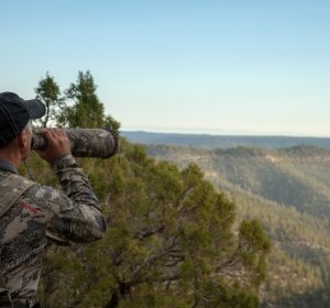 Tips for hunting elk