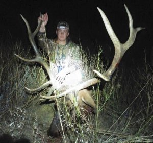 When is Elk season in Colorado