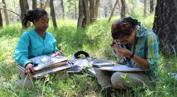 Utah Forests Program Interns, photo by Marra Clay