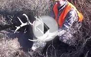 174" Colorado Whitetail - Gavin Jordan