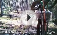 2012 Colorado Archery Elk Hunt
